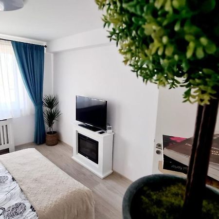 Cozy Studio Lejlighed Braşov Eksteriør billede