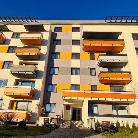 Cozy Studio Lejlighed Braşov Eksteriør billede