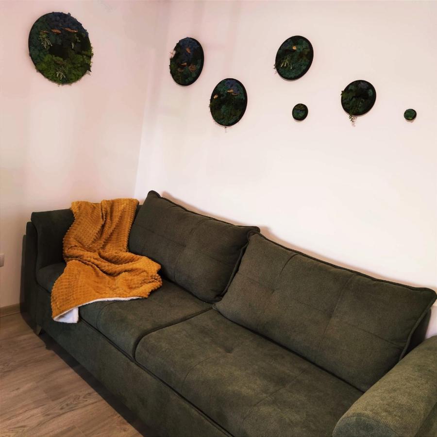 Cozy Studio Lejlighed Braşov Eksteriør billede