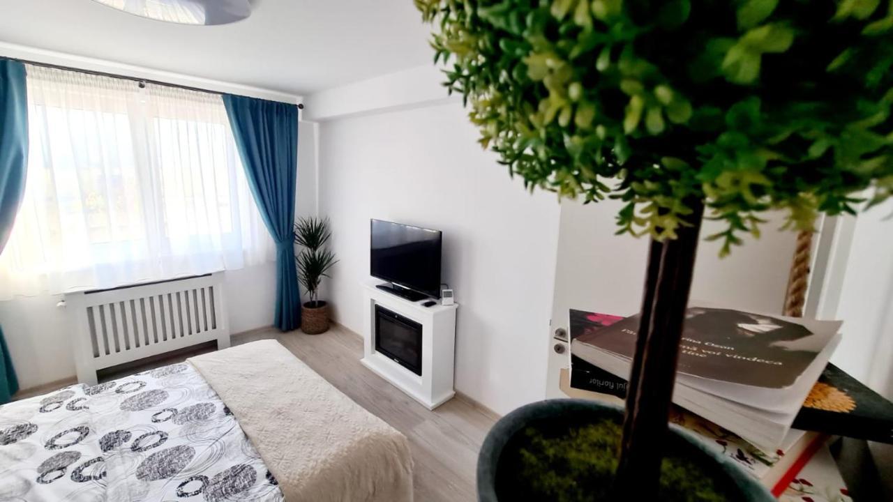 Cozy Studio Lejlighed Braşov Eksteriør billede