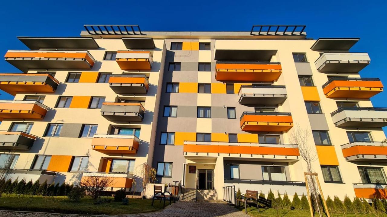 Cozy Studio Lejlighed Braşov Eksteriør billede